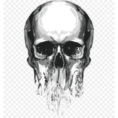 T-shirt Skull one