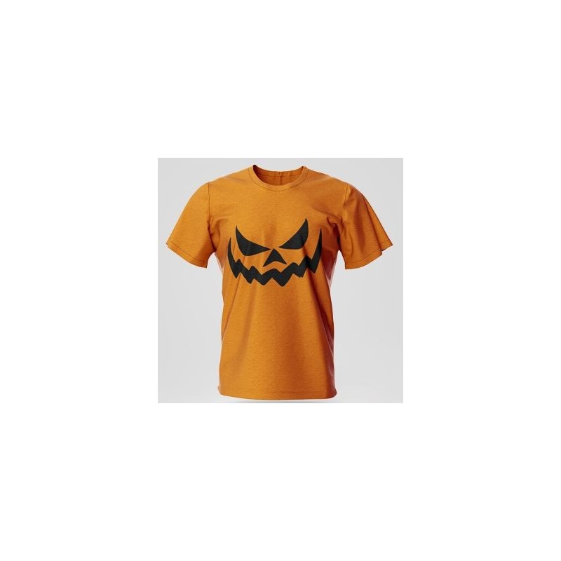 Zucca 1 Zucca 1